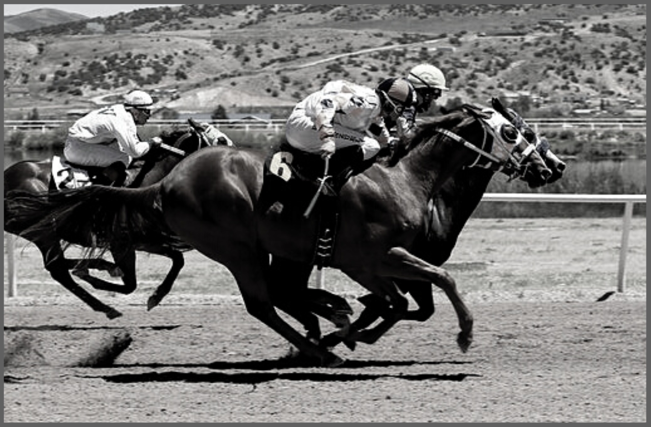 競馬の白黒写真